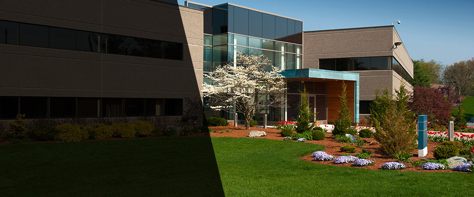 Bellingham Landscapers