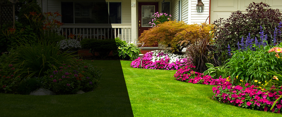 Bellingham Landscapers