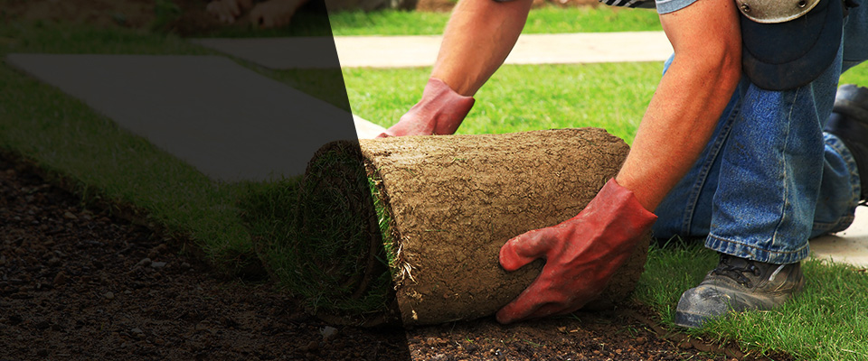 Bellingham Landscapers